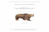 Oso pardo – Ursus arctos Linnaeus, 1758digital.csic.es/bitstream/10261/112114/3/ursarc_v1.pdf · Clevenger et al. (1992) describen la selección de hábitat del oso pardo en el
