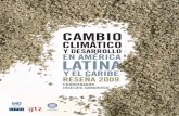 Comisión Económica para América Latina y el Caribe (CEPAL)euroclimaplus.org/.../Ambiente/...Resena_2009.pdfCuadro II.1 Sudeste de América del Sur: variación del rendimiento medio