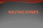 WordPress.com · Provocan un corrimiento en el marco de lectura Mutaciones génicas Se denominan mutaciones puntuales porque afectan solamente a 1 nucleótido. a) Sustituciones de