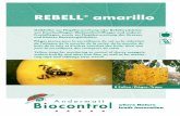 REBELL amarillo - Andermatt BiocontrolREBELL® amarillo Gelbfallen zur Flugüberwachung oder Befallsreduktion von Kirschenfliegen, Walnussfruchtfliegen und anderer Fruchtfliegen, sowie