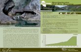 Nacimiento del Río Borosa - Sierra de Segurasierrade/images/stories/...Desnivel acum. subida: 590 m Alturas mínima y máxima: 680 m / 1.248 m Tipo de firme: pista forestal y senda.
