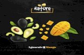 MAYORISTAS - Nature Tasty | Aguacate y Mango · nos dedicamos, con pasión y entusiasmo, a la producción de mango y aguacate. Disponemos de campos propios y también, contamos con