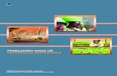 TRABAJANDO HACIA UN DESARROLLO SUSTENTABLE · 2017-04-18 · FREEPORT-McMoRan COPPER & GOLD INC. Trabajando Hacia un Desarrollo Sustentable Informe 2009 TRABAJANDO HACIA UN DESARROLLO