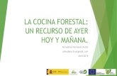LA COCINA FORESTAL: UN RECURSO DE AYER HOY Y MAÑANA. · 1. Productos forestales comestibles de origen vegetal Las plantas silvestres en la cocina Raíces Tallos Hojas Flores Frutos