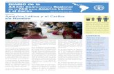 XXXIII Conferencia Regional de la FAO para América Latina y el … · 2014-05-06 · a Petrocaribe y ALBA comenza-ron a implementar su propio plan para la erradicación del hambre