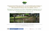 Bosques Territorios de Vida: Estrategia Integral para el ... · Programa Visión Amazonia Período de reporte: septiembre 2017 – agosto 2018 Alcance: avances nacionales en el marco