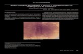 Dolor lumbar irradiado a testes y calcificación en ...scielo.isciii.es/pdf/sm/v67n3/imagen_problema1.pdfprevios de hipertensión arterial, insuficiencia venosa en miembros inferiores,
