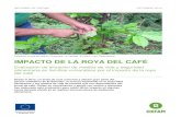 Oxfam. Foto: Tania Moreno IMPACTO DE LA ROYA DEL CAFÉ · INTRODUCCIÓN Muchas de las comunidades de El Salvador tienen una baja resiliencia (su capacidad de enfrentar y recuperarse