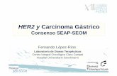 HER2 y Carcinoma Gástrico - SEOM: Sociedad Espa · en muestras de carcinoma gástrico podría ser menor al hibridación y, por 10 tanto, esta debe reservarse para reclasificar los