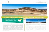 PROYECTO CERRO DEL GALLO · El proyecto aurífero Cerro del Gallo (en adelante, Cerro del Gallo) ... podrán consultar el DTU completo en el expediente N.º 09/MB-0242/04/19 de la