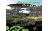 Citur | Home - Guaviarecitur.gov.co/upload/publications/documentos/46.Guias... · 2019-04-26 · La tradición oral de grupos indígenas, en-tre ellos, los nukaks, los guayaberos