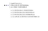 CAPÍTULO 3. CÁLCULO INTEGRAL en UNA VARIABLEocw.uniovi.es/pluginfile.php/1493/mod_resource/content/1/1C_C133… · capÍtulo 3. cÁlculo integral en una variable |3.1 integral indefinida