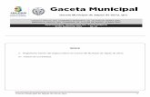 GACETA OFICIAL DEL GOBIERNO MUNICIPAL DE JALPAN DE …municipiodejalpan.gob.mx/transparencia/medios-difusion/gaceta21.p… · estado de querétaro, y con fundamento en el articulo