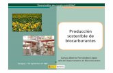 Producción sostenible de biocarburantes · 3 Eldebate europeo sobre sostenibilidad COM ENTARIOS • El Desarrollo Sostenible tiene m ás im plicacionesque lasam bientales. • Las