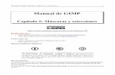 Manual de GIMP - TALLER TECNOtallertecno.com/curso_gimp/ManualGIMP_Cap5.pdf · Manual de GIMP. Capítulo 5. Máscaras y selecciones 6 una nueva selección. •El modo añadir hace