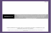 ESTRATEGIAS PARA LA MEJORA DE LA ENSEÑANZA Y LA …miescuela.edusalta.gov.ar/assets/pdfs/epja/pri...“Estrategias para la Mejora de la Enseñanza y la Evaluación en el Ciclo Formación