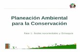 Planeación Ambiental para la ConservaciónPlaneación Ambiental para la Conservación Fase 1: Andes nororientales y Orinoquia. Objetivo • Identificar áreas prioritarias para la