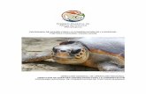 PROGRAMA DE ACCIÓN PARA LA CONSERVACIÓN …20sobre%20manejo...Conservación, Investigación y Manejo de Tortugas Marinas en Quintana Roo. En 1984 se realizó la primera reunión