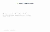 Índice - UCPuebla · 2019-11-04 · • Entregar antes de iniciar el curso al coordinador de carrera la programación desglosada del curso(s) asignado(s) (syllabus), conteniendo