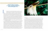 Introducción a los principios fisiológicos Lpearsonespana.blob.core.windows.net/books/9788478290826Capitulo.… · nes, ballenas), Australia (serpientes marinas), Hawai (animales