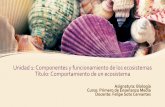 Unidad 1: Componentes y funcionamiento de los ecosistemas ...colegiochac.cl/wp-content/uploads/2020/03/guias4/IMedio/Guia_Biol_IM… · Unidad 1: Componentes y funcionamiento de los