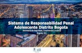 Sistema de Responsabilidad Penal Adolescente Distrito Bogota · Sistema de Responsabilidad Penal Adolescente Distrito Bogota Secretaría de Seguridad, Convivencia y Justicia Bogotá,