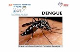 (D) JUEVES 14.45 Arce M - SAP 28-9/… · Debe recordarse los hábitos de la picadura del Aedesaegypti: en la mañana, al amanecer y por la tarde antes de oscurecer. ... CONCLUSIONES