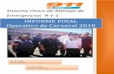 INFORME FINAL Operativo de Carnaval 2018 · INFORME FINAL OPERATIVO CARNAVAL 2018 6 En el Centro de Despacho para el período comprendido entre las 12:00 horas del 09 febrero hasta