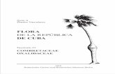 FLORA DE LA REPÚBLICA DE CUBA - BGBM€¦ · Flora de Cuba 23 VII Introducción El fascículo 23 de la Flora de la República de Cuba abarca 102 páginas (incluso la parte introductoria).