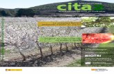+ CITA de Aragóncitarea.cita-aragon.es/citarea/bitstream/10532/3384/1/... · 2017-11-28 · La variedad de almendro ‘Belona’ (‘Isabelona’), una de las últimas variedades