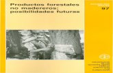 Productos Forestales no Madereros; posibilidades …(productos no madereros) en la Direcci6n de Productos Forestales, con el cometido de supervisar la puesta en marcha y coordinaci6n