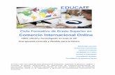 Comercio Internacional Onlinetrabajo en equipo, el autoconocimiento, la autoconfianza y adquisición de competencias digitales, entre otras. Dossier CFGS Comercio internacional_LOE