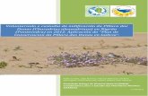 en do de en - agroba.org · proxecto ““Restauración del Ecosistema Dunar de las playas de Panxón y Playa América, Nigrán” en 2011. Praia América é a única praia do Concello