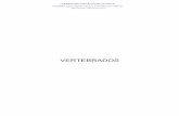 VERTEBRADOS - Asturias · 2017-07-03 · VERTEBRADOS . Dirección General de Recursos Naturales GOBIERNO DEL PRINCIPADO DE ASTURIAS CONSEJERÍA DE DESARROLLO RURAL Y RECURSOS NATURALES