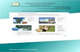 isrp.sysdatacolombia.com · Web view2020/04/07  · Tema: Recursos naturales y rentabilidad Guía curricular y trabajo RECURSOS NATURALES Y RENTABILIDAD VIDEOS DE APOYO ¿Por qué