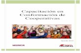 Capacitación en Conformación de Cooperativascajondeherramientas.com.ar/wp-content/uploads/2019/...A fin de poder comprender el marco en el que se encuentran las Cooperativas presentaremos