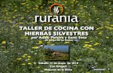 TALLER DE COCINA CON HIERBAS SILVESTRES Taller de cocina con hierbas silvestres Las hierbas silvestres