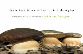 Iniciación a la micología³n-a-la... · La micología es la ciencia que estudia los hongos. Los hongos son organismos vivos que necesitan materia orgánica para desarrollarse. Están