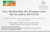 Presentación de PowerPoint - gob.mxconadesuca.gob.mx/documentos de interes/1er... · Primer Estimado de Producción de Caña y Azúcar Zafra 2013/14 Actualizado con datos al 12 de