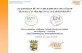 XV JORNADA TÉCNICA DE BIOMASA EN CUÉLLAR Biomasa y el … · Tipos de biomasa biomasas sólidas adecuadas para aplicaciones térmicas en ... Quemadores de pélets para calderas