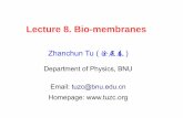 Lecture 8. Bio-membranesphysics.bnu.edu.cn/application/faculty/tuzhanchun/biophys/V2/L08.pdf · 2k c/ 2 k c c 0 2 2−1 2 p 2 4k c c 0 2 2−4k c c 0 8 2 6 p 3 cos 5k c c 0 2 2−8k