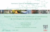 Patentes en la generación, protección y transferencia de …digital.csic.es/.../5654/1/UIMP_2007_Jose_Luis_de_Miguel.pdf · 2016-02-16 · 3 Datos económicos y de personal 2006