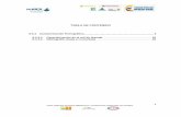 TABLA DE CONTENIDO - CORTOLIMA€¦ · 8.4.4.2. Unidades hidrográficas de la cuenca del río Guarinó Con el fin de realizar la caracterización de la red de drenaje de la cuenca