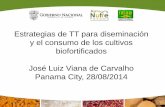 Presentación de PowerPointlac.harvestplus.org/wp-content/uploads/2015/02/Consumo... · 2016-09-13 · Estrategias de TT para diseminación y el consumo de los cultivos biofortificados