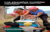 Los pequeños invisibles€¦ · Cuento didáctico sobre la higiene, dirigido a niños y mujeres huicholes Ha Tatukari / Agua nuestra vida Proyecto ConcentrArte-IRRI, México, 2011.