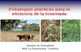 Estrategias practicas para la eficiencia de la invernada · 2011-10-20 · Ganancias diarias de novillos de 300 kilos pastoreando rastrojo de sorgo suplementados con expeler de girasol