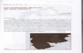 Cap tulo 4 LAS SOCIEDADES ARCAICAS DEL BAJO ORINOCOEn el Bajo Caroní se ejecutaron entre 1993 y 2003 dos proyectos de arqueología ... 3- La Tradición El Espino, cuyo ajuar lítico