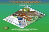),723$72/2*,$ &2/20%,$1$a... · 2 2019-Fitopatología Colombiana/Volumen 43 No 2 (Suplemento) INSTITUCIONES ADAMA Asociación Pitayas y frutas de Colombia_PITAFCOL, Centro regional