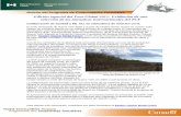 Boletín del Programa de Comunidades Forestalescfs.nrcan.gc.ca/pubwarehouse/pdfs/32221.pdf · estudio de la vulnerabilidad y ajuste al cambio climático. El fenómeno del cambio climático