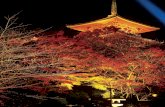la capital de la tradición - Xavier Moretdo o cantando sakura, la emotiva canción dedicada a la flor del cerezo, símbolo de la delicadeza japonesa. Cuando florecen los cere-zos,